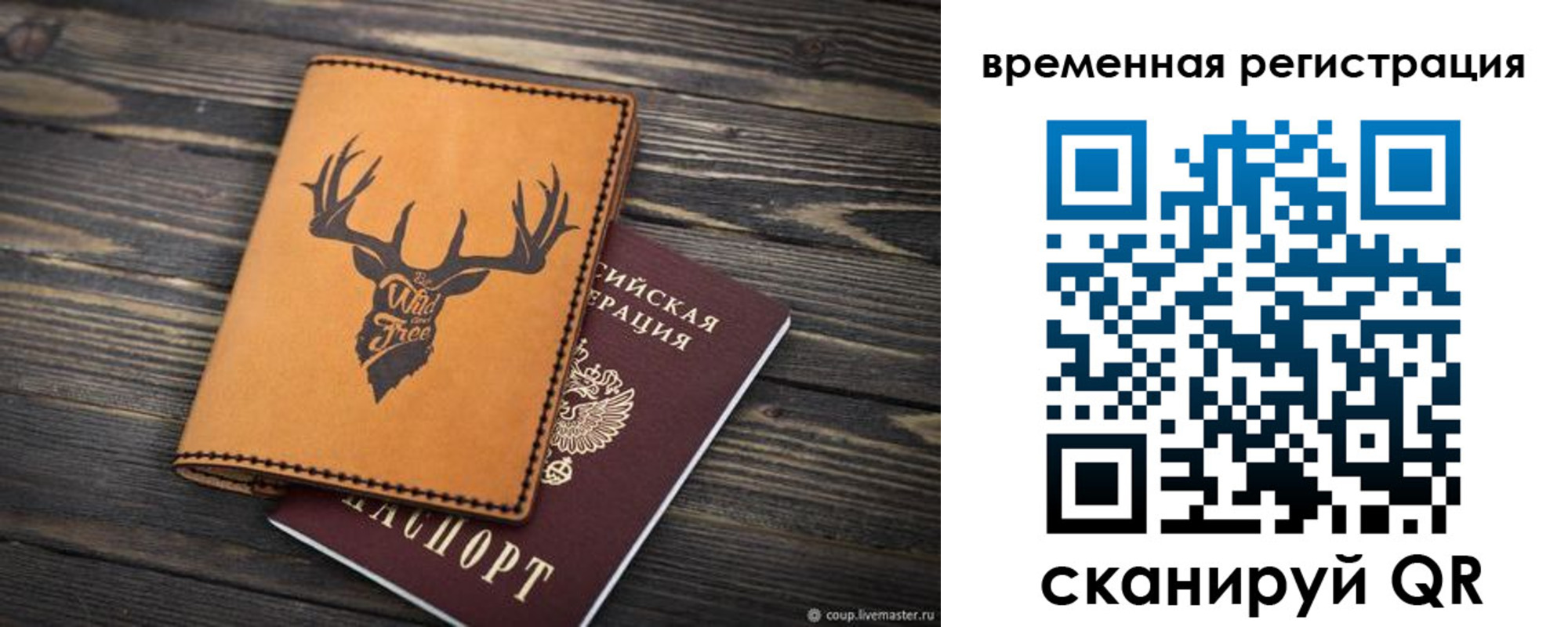 прописка в Жирновске
